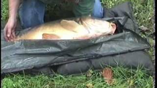 Frankrijk 54 pond Karper  ( France 60lbs Carp )