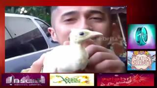 Download lagu Irfan Hakim Habiskan Ratusan Juta Untuk Hewan Peliharaannya ~ Gosip Hari Ini 10 Februari 2 mp3 Download lagu Irfan Hakim Habiskan Ratusan Juta Untuk Hewan Peliharaannya ~ Gosip Hari Ini 10 Februari 2 mp3