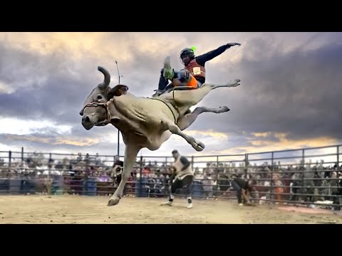 THE BULL THAT THEY ASK ME THE MOST FOR IS THE G63 // Rancho El Aguaje Denver Colorado USA