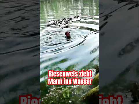 Er wird von Wels in den See gezogen! 😱#wels #waller #angst #baden #angeln #fishing #pleinfeld
