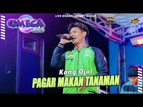 PAGAR MAKAN TANAMAN - Rizal Pahlevi OMEGA MUSIC Live Cerme - Gresik