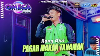 Download lagu PAGAR MAKAN TANAMAN - Rizal Pahlevi OMEGA MUSIC Live Cerme - Gresik mp3 Download lagu PAGAR MAKAN TANAMAN - Rizal Pahlevi OMEGA MUSIC Live Cerme - Gresik mp3