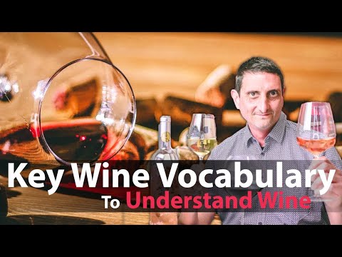 Wine Vocabulary: Your Essential Glossary of Wine Terms