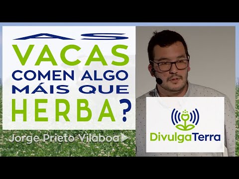 Vídeo: As vacas comen máis que herba?