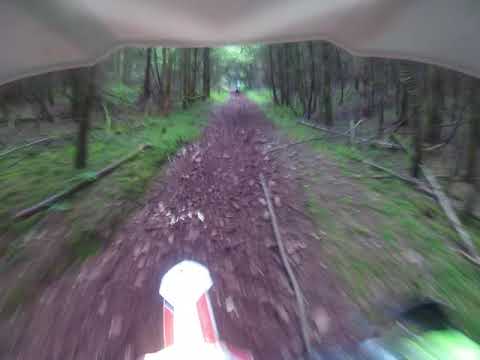 Minehead TRF 30/06/19 (3)