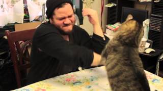 French Language - Joel Learns French - Le chat est bon.