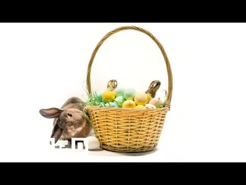 The Science of Beautiful Easter Egg Color - WIRED