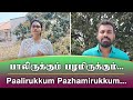 QUARANTINE FROM REALITY PAALIRUKKUM PAZHAMIRUKKUM PAAVA MANNIPPU Episode 532