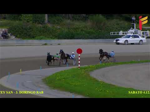 Prova di qualifica e riqualifica anziani del 6 Dicembre 2021 - Metri 1600