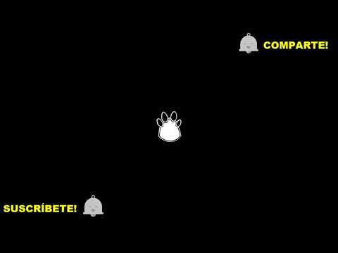 ME GUSTARIA SER TU CALZ0N ME LA JALO PENSADO EN TI! El panda show 2017