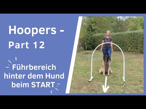 Hoopers - Part 12 I This way the dog will ALWAYS take the starting hoop I Leading area behind the...