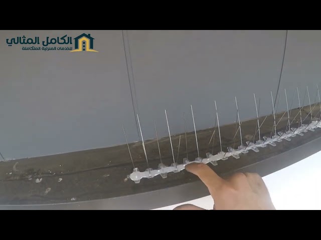 شركة تركيب طارد الحمام بالخبر