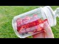 text_video Сушарка для фруктів та овочів  800 w 16 л дегідратор Rainberg RB-912
