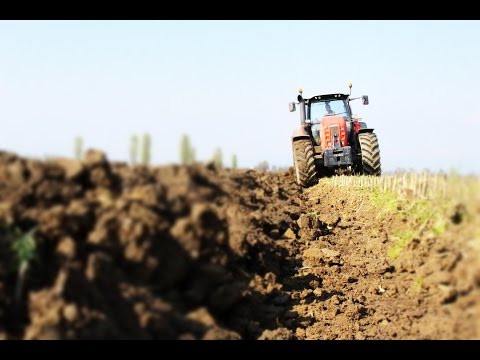 Same Iron DCR 210-220 + Same Silver 180