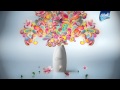 Glade Primavera