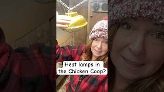Chickens in the Winter.