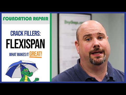🐊 Crack Fillers: Why is FlexiSpan Special? | Foundation Repair