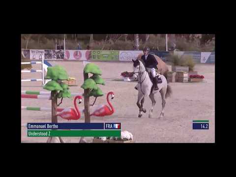 Understood Z (Untouchable 27 x Kannan) Born in 2011