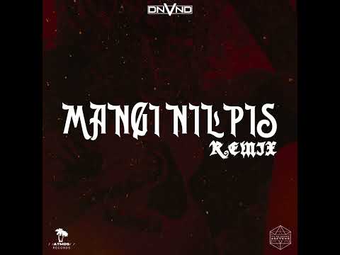 DNVND - Mangi Nilpis (Remix) 2024