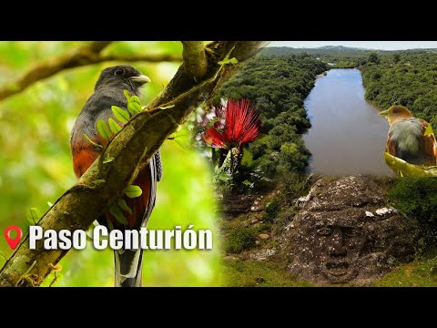 Paso Centurión: 🌿Donde la naturaleza y la historia siguen vivas