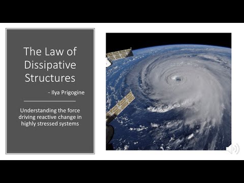 The Law of Dissipative Structures