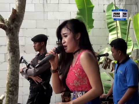 Ora Biso Turu - Amel Silvy - New Pantura Live Pandean