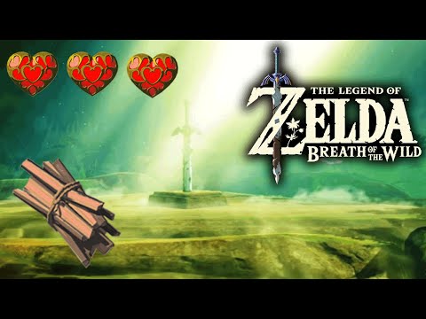 NUOVO GLITCH SUPER FACILE PER OTTENERE LA SPADA MAESTRA CON 3 CUORI (2021)