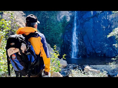 Cóndor Pata un destino asombroso