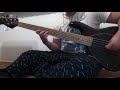 Black Flag - Account for What? [Bass Cover]