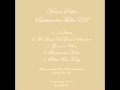 Nerina Pallot - It Starts - Buckminster Fuller EP
