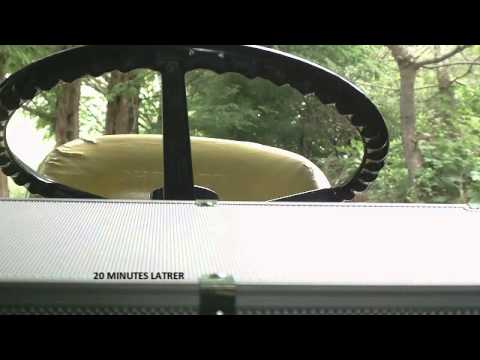 WTF?! - Episode 3 - Black Market