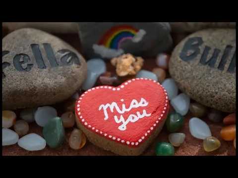 Youtube Video Embed