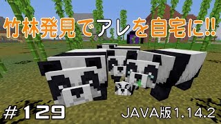 【ちのんのマイクラ実況】#129 竹林発見でアレを自宅に!!(JAVA版1.14.2)