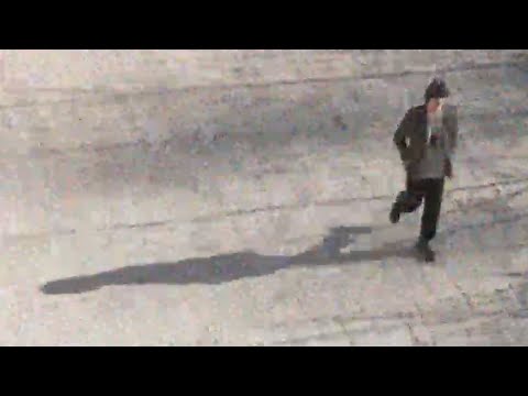 MATTEO ALIENO - NORMALE (VIDEOCLIP UFFICIALE)