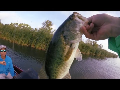 GoPro: Canden Leavell - Best Catch 7.15.15 - Fish