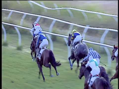 Galoppo 20/07/2018 - 5ª corsa