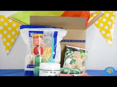 Pet Works Holiday Stocking Set - Gingerbread Man (4 pack) Video