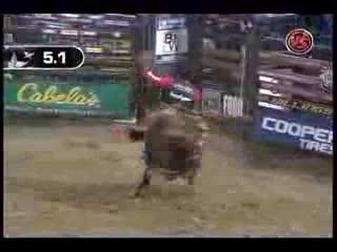 Guilherme Marchi Vs Whammo