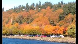 Brian Hughes - Over and Over.