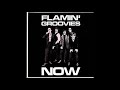 FLAMING GROOVIES- Dog Meat