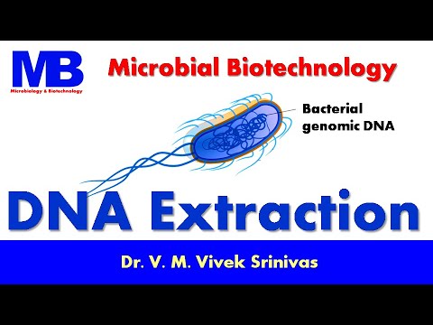DNA Extraction | Biotechnology | Vivek Srinivas | #Molecularbiology #Biotechnology