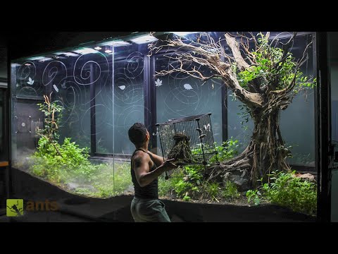 I Released Birds Into My Giant Grasslands Vivarium