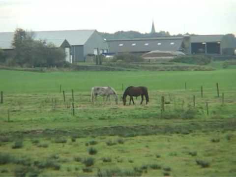 Wanssum bij Gemeente Venray
