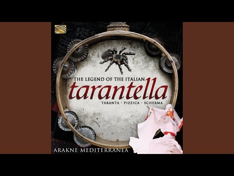 Ta Travudia - Arakne Mediterrranea