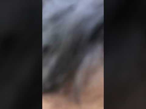 Ep 1 and 2 of this crazness (powers and a normal life👍🏼)