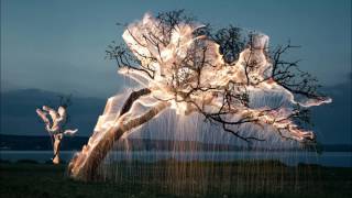 Inlakesh - Impermanent Nature
