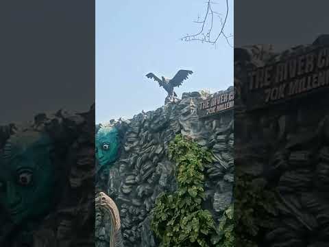 Kolkata niccho park #youtube_short #shorts #niccho_park