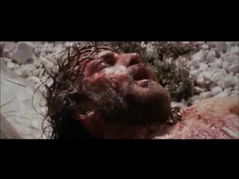 Passion of the Christ - We Are the Reason