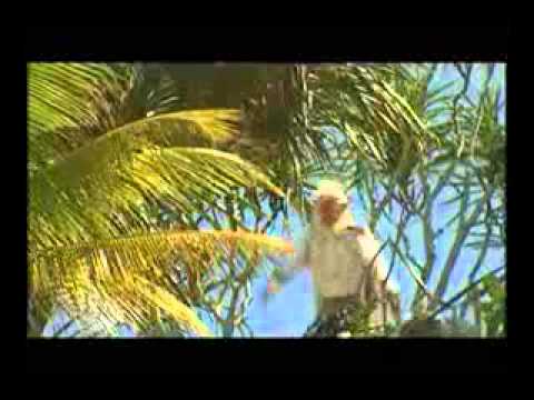 Karmapala 06 Ratu siluman buaya