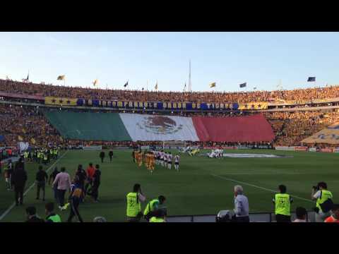 "Tigres vs River 29/07/15 Recibimiento (FINAL)" Barra: Libres y Lokos &bull; Club: Tigres